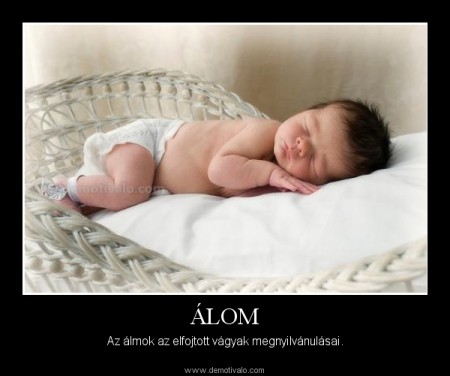 Álom..